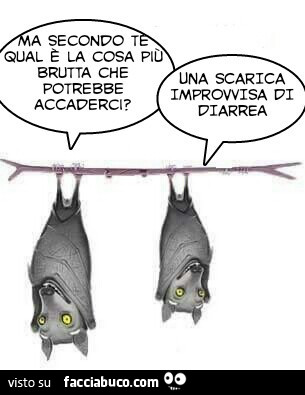 diarrea improvvisa scaricare